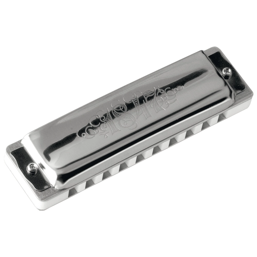 Imagem do produto Gaita Seydel Diatônica 1847 Silver D Ré 16301D Com Case