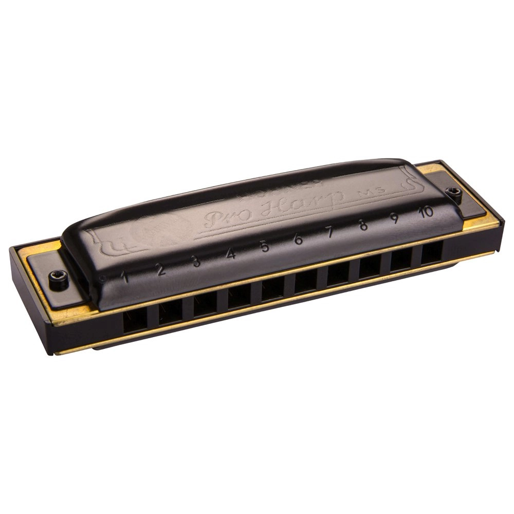 Imagem do produto Gaita Hohner Diatônica Pro Harp C Dó 562/20 MS Com Case