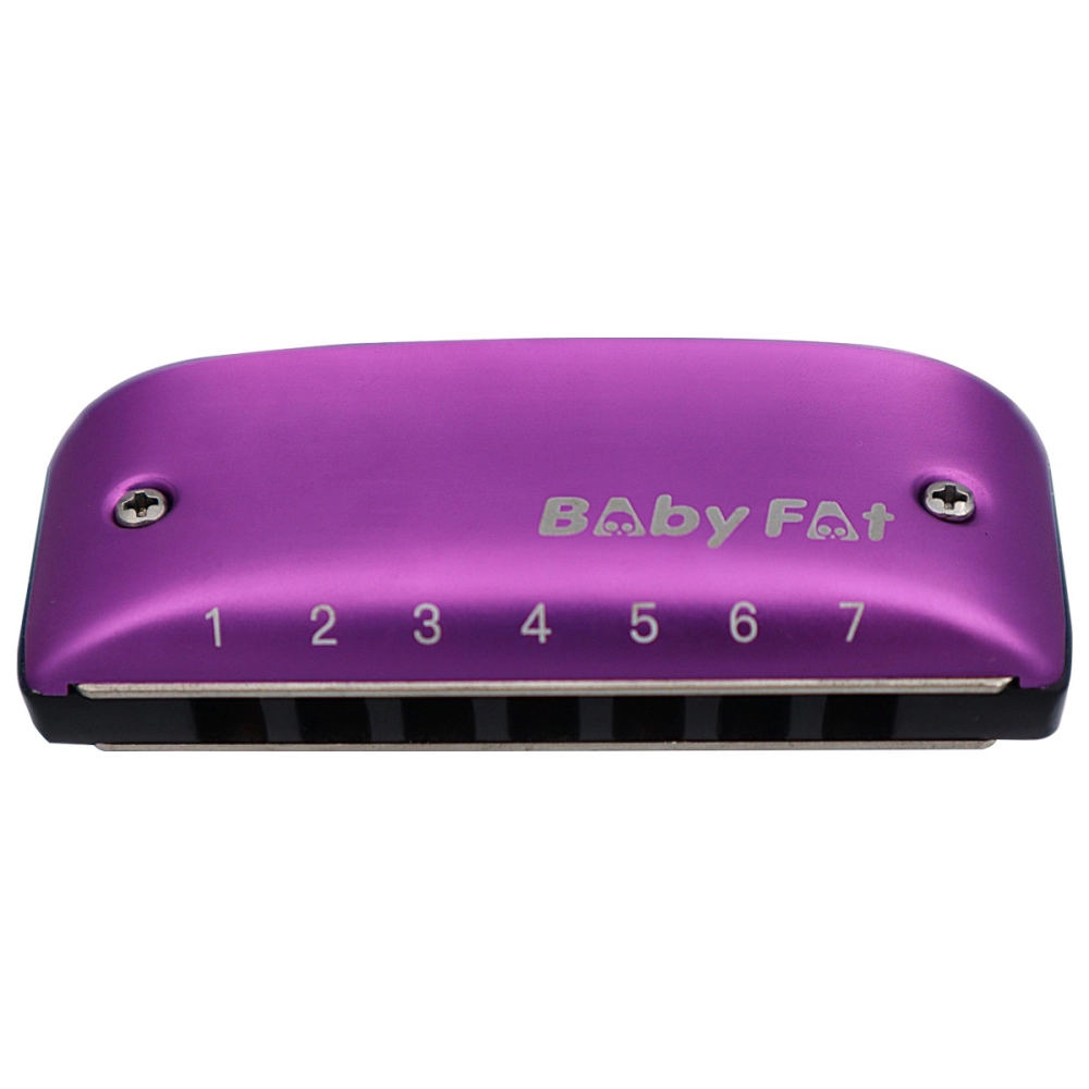 Imagem do produto Gaita Kongsheng Diatônica Baby Fat Bb Si Bemol 14 Vozes Roxa