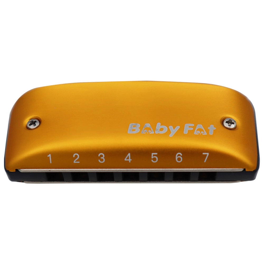 Imagem do produto Gaita Kongsheng Diatônica Baby Fat G Sol 14 Vozes Dourada