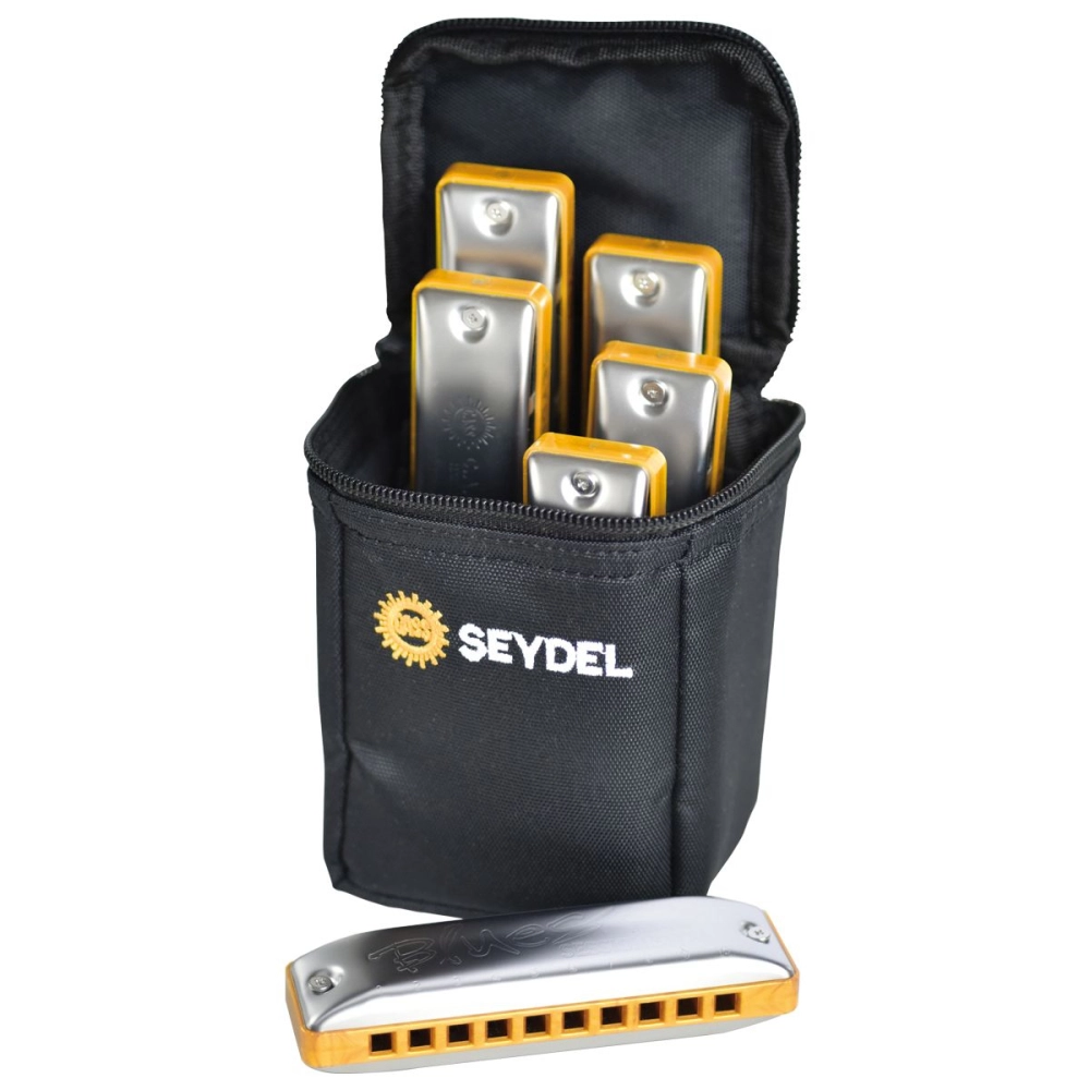 Imagem do produto Kit 6 Gaitas Seydel Diatônica Summer Session Steel Com Bag
